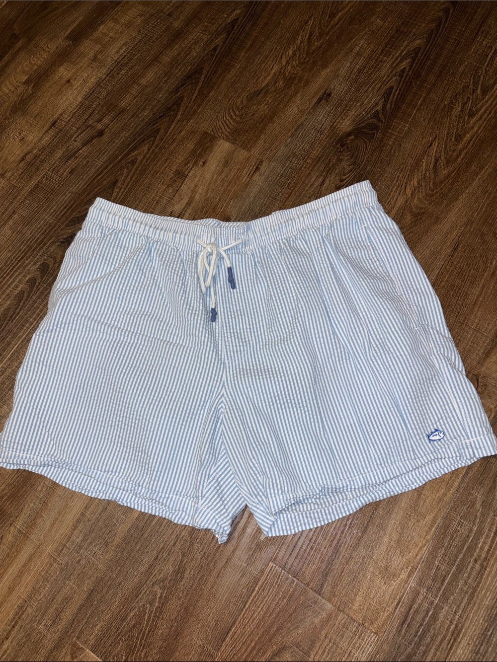 Men's Light Blue Stripe Swim Trunks Southern Tide